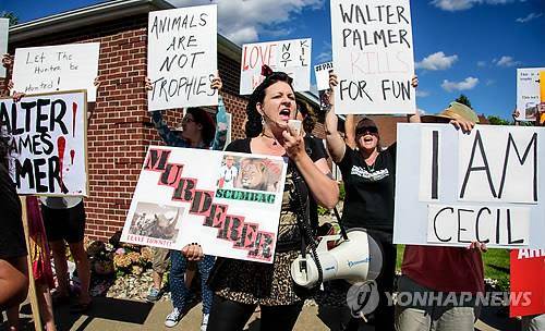 짐바브웨 '세실' 사냥에 분노 (블루밍턴<미네소타주> AP/스타 트리뷴=연합뉴스) 아프리카 짐바브웨 황게국립공원에서 가장 유명한 사자 '세실'을 사냥한, 미국인 치과의사 월터 파머의 미 미네소타주 블루밍턴의 치과병원 앞에서 지난 7월 29일(현지시간) 동물 애호가들이 항의시위를 벌이고 있다.