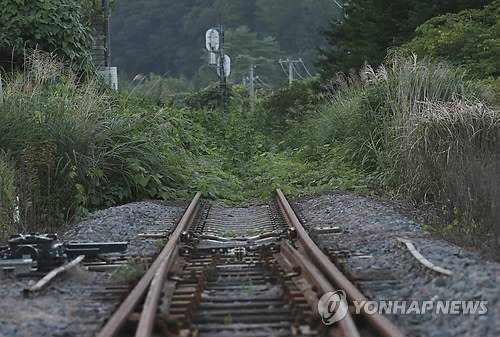 (나라하<日후쿠시마> AP=연합뉴스) 2015년 9월 4일 찍은 사진으로, 일본 후쿠시마 현 나라하마치의 기차역 인근 철로가 잡초로 덮인 채 녹슬어 있다. 나라하마치는 지난 2011년 동일본 대지진 후 원전에서 방사능이 유출되자 전역에 피난지시가 내려졌다.