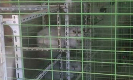 대구 수성구에 위치한 한 업장에서 사육되고 있는 고양이. (사진 카라 제공) © News1
