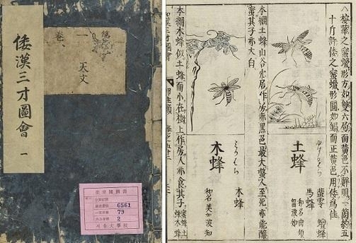 화한삼재도회(和漢三才圖會) 일본 오사카의 의사였던 데라시마 료안이 1712년에 서문을 집필한 뒤 30여 년에 걸쳐 저술한 백과사전. 명나라의 ‘삼재도회’를 기본으로 했지만 일본의 지식과 수많은 삽화를 추가했다. 18세기 중엽에 조선에 수입되어 실학자들의 저작에 적지 않게 영향을 끼쳤다.