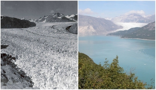 15. 뮤어 빙하(알래스카). 1941년 8월 - 2004년 8월