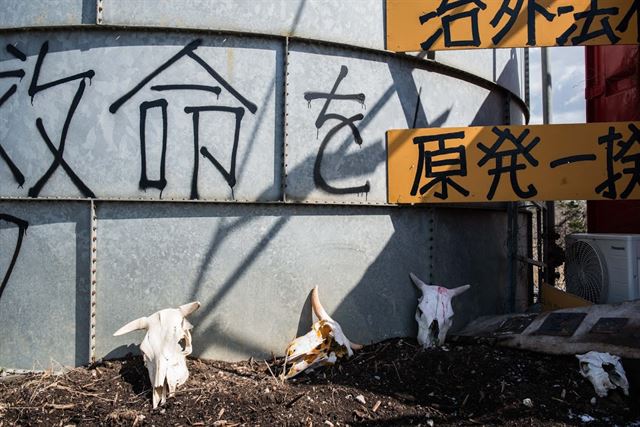 후쿠시마 한 농가에 오염지역 소들의 살처분을 반대하는 메시지와 함께 원전 사고로 목숨을 잃은 소들의 두개골이 놓여있다. 일본 정부는 지난해 초까지 약 1,800마리의 소들을 살처분했다. 피에르 엠마뉴엘 델레트헤 프리랜서 기자 pe.deletree@gmail.com