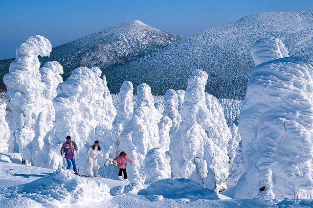 일본 미야기현에 위치한 스키장 스미카와 스노파크에서는 수빙과 함께 스키를 즐길 수 있다. 미야기현 제공