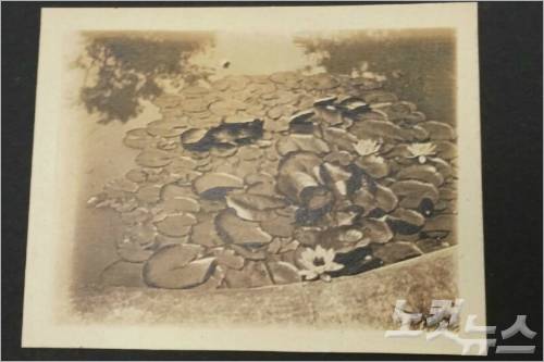 이인성 작가의 사진첩 가운데 작품' 연못'과 이미지가 유사한 연못 사진이 최초 공개됐다. (이인성아트센터 제공)