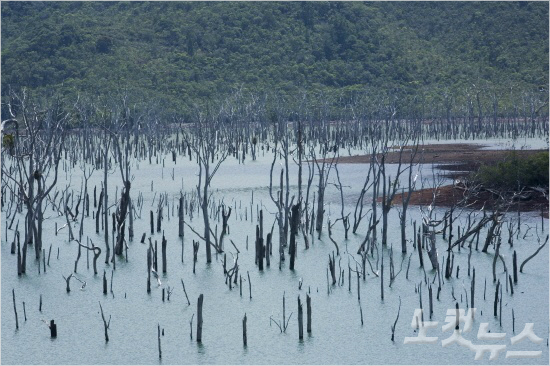 물속에 반쯤 잠긴 고사목들 때문에 일명 물에 잠긴 숲이라 불리는 야떼 호수 (사진=임재철 제공)