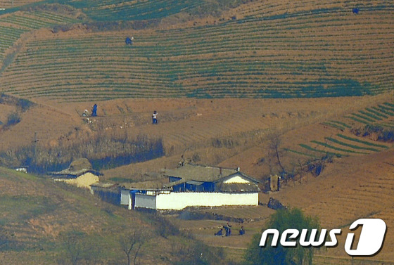 경기 파주시 도라산전망대에서 바라본 북한 기정동 마을 일대에서 주민들이 밭일을 하고 있다.  2016.4.15/뉴스1 © News1 신웅수 기자