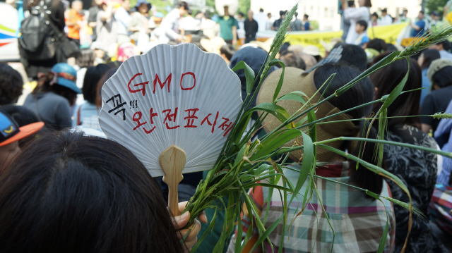 지난 21일 서울 광화문 일대에서 올해 4회째인 ‘몬산토 반대 시민행진’이 열렸다. 몬산토는 전세계 지엠오(GMO) 식품의 특허권 90%를 소유한 다국적 기업으로, 종자를 독점해 개발도상국의 농업체계를 파괴하고 있다는 비판을 받는다. 한 참가자가 ‘지엠오 꼭 완전표시제’라고 적힌 부채를 들고 있다.  지엠오반대생명운동연대 제공