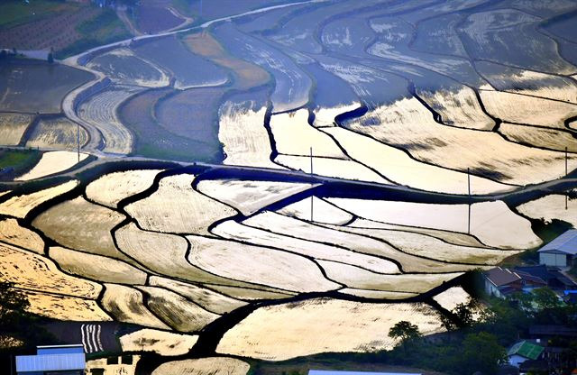 부드러운 곡선들이 모여 기하학적인 무늬를 연출하는 다랑이논은 모심기를 위해 물을 받아놓는 이맘때가 가장 아름답다. 왕태석기자 kingwang@hankookilbo.com