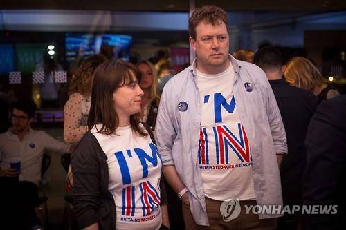 침울한 잔류 진영