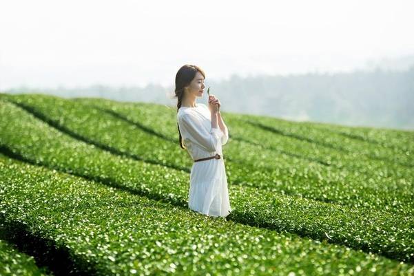 이니스프리 CF에는 소녀시대 멤버인 윤아가 녹차밭을 걷는 모습을 보여준다. /사진=이니스프리 제공