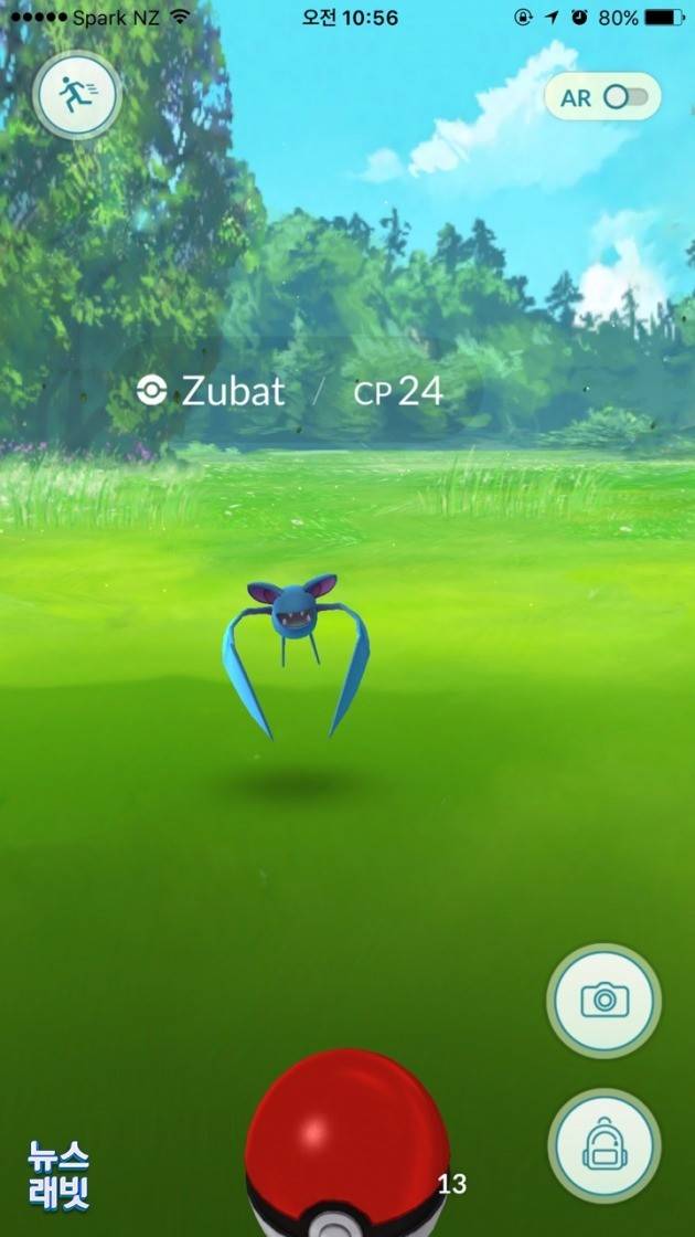 포켓몬 '쥬벳'을 포켓볼로 잡는 모습 = 뉴스래빗 독자 제공