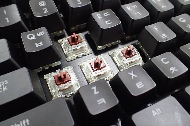 체리 갈축 스위치