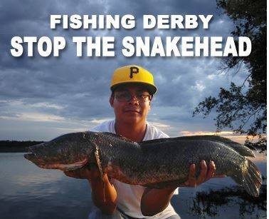 미 수도권 포토맥강 수계의 생태계를 위협하는 가물치를 퇴치하기 위한 낚시 대회 홍보사진.