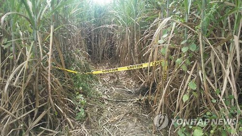지난 11일 한국인 남녀 세 명이 시신으로 발견된 필리핀 마닐라 북쪽 산페르난도시 외곽 사탕수수밭