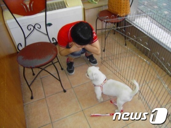입양자와 처음 만났을 때의 삼식이. © News1