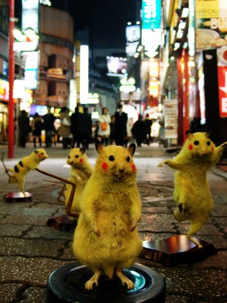 ‘침↑폼’의 <슈퍼 쥐>는 행위예술가 여섯이 일본 시부야 지역을 돌면서 쓰레기 더미 사이에서 쥐를 잡는 영상 프로젝트다. 영상에서는 기형적으로 거대한 쥐를 잡아서 일본의 애니메이션 캐릭터인 피카추로 페인팅해서 다시 도시에 방사하는 과정이 소개된다. 아시아 아트 어워드 제공