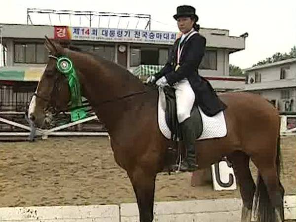 19년 전 장시호 씨