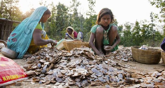 인도 자르칸드주 불법 운모 광산에서 일하는 소녀들. 네덜란드 시민단체 테레 데스 호메스 제공