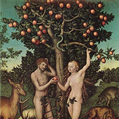 Lucas Cranach l