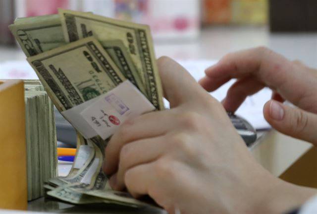 원.달러 환율이 5개월만에 장중 최저치를 기록한 21일 오후 서울 중구 을지로 KEB하나은행 본점 위변조대응센터에서 한 직원이 달러를 세고 있다. 연합뉴스