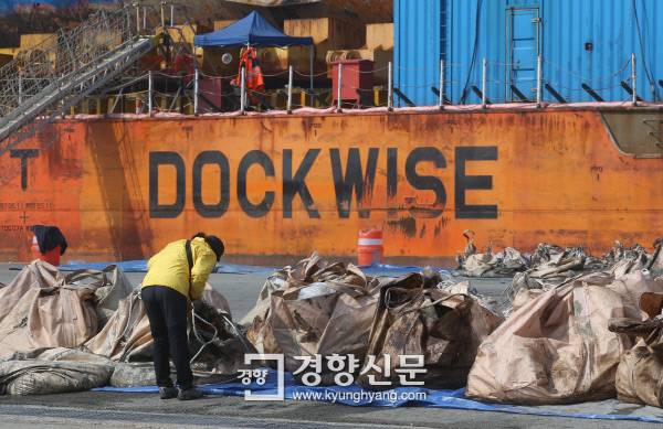 4일 오전 목포 신항만에서 세월호 육상거치를 위한 준비작업으로 모듈 트랜스포터가 옮겨지는 등 분주한 모습을 보이는 가운데 한 유가족이 배에서 나온 펄 더미를 살피고 있다. /김창길 기자 cut@kyunghyang.com