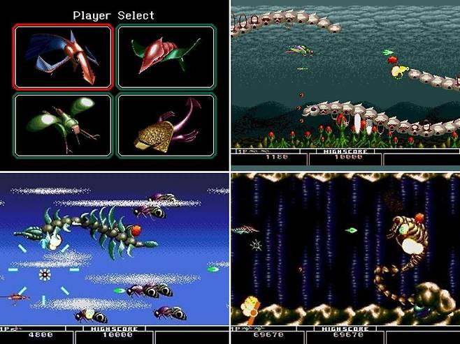 크라잉 아생명전쟁