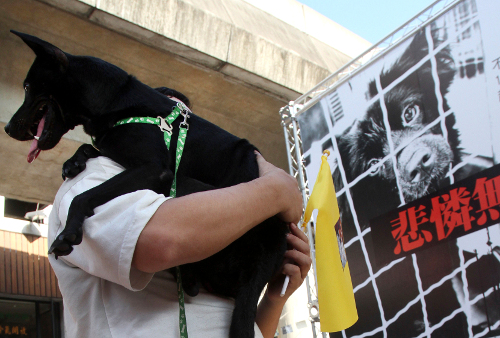 대만 남성이 2011년 수도 타이베이의 동물보호법 개정을 촉구하는 집회에서 반려견을 끌어안고 있다. 대만 입법원은 11일 개와 고양이 고기 식용을 금지하는 동물보호법 개정안을 통과시켰다. AP뉴시스