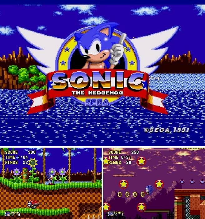 소닉 더 헷지혹