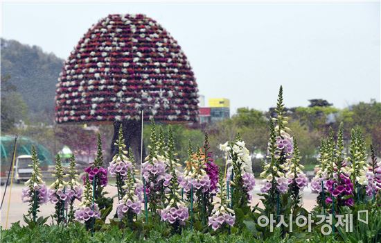 함평나비축제장인 함평엑스포공원에 각종 꽃들을 심고 관람객 맞이에 만전을 기하고 있다. 노해섭 기자 nogary@