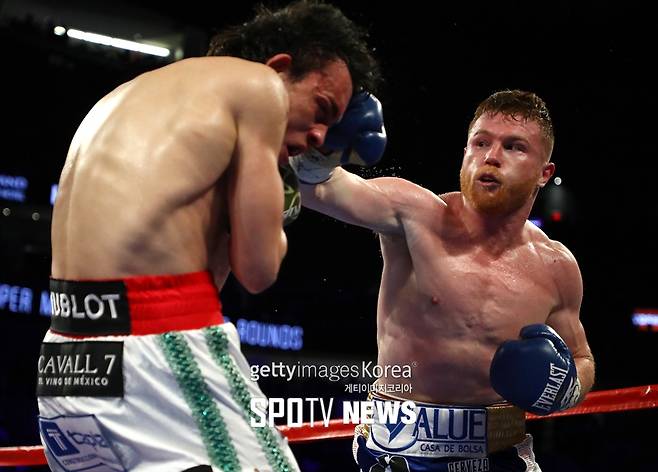 ▲ 카넬로 알바레즈는 7일(한국 시간) 훌리오 세자르 차베스 주니어에게 3-0으로 판정승하고 7연승을 달렸다.