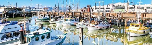 어부들의 선착장이란 뜻의 피셔맨스 워프 지역. 샌프란시스코의 신선한 해산물과 피어33, 아쿠아리움 등과 같은 볼거리가 모여 있다.