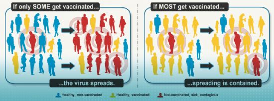 미국 연방정부 보건복지부산하기관인 질병통제예방센터(CDC) 홈페이지에 게재된 집단면역 개념 소개 이미지. 백신 예방접종 필요성을 강조하는 맥락이다.