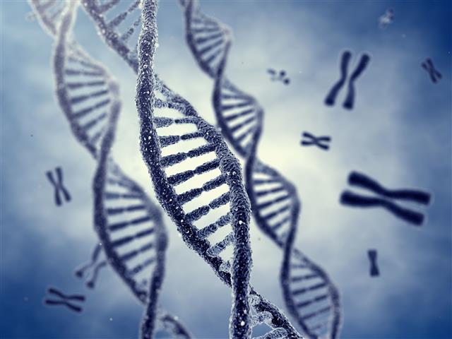 과학자들이 사람의 지능과 관련한 유전자 52개를 발견했다.출처 123RF