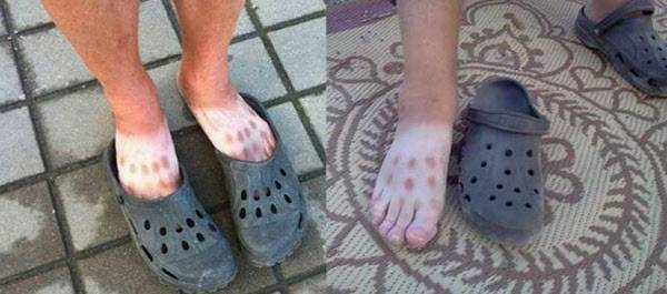 /온라인 커뮤니티 캡처