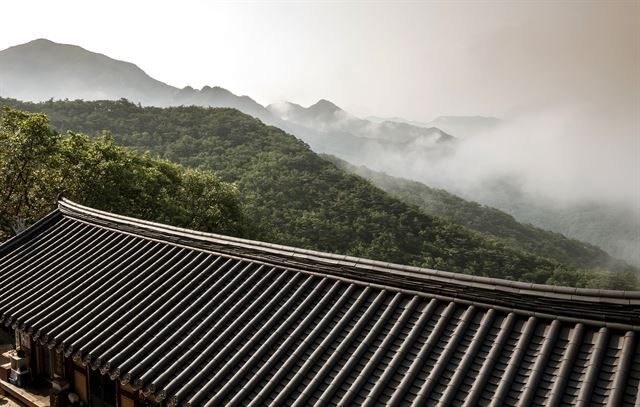 은은한 안개가 밀려드는 아침 정방사 풍경. 최갑수 촬영, 한국관광공사 제공
