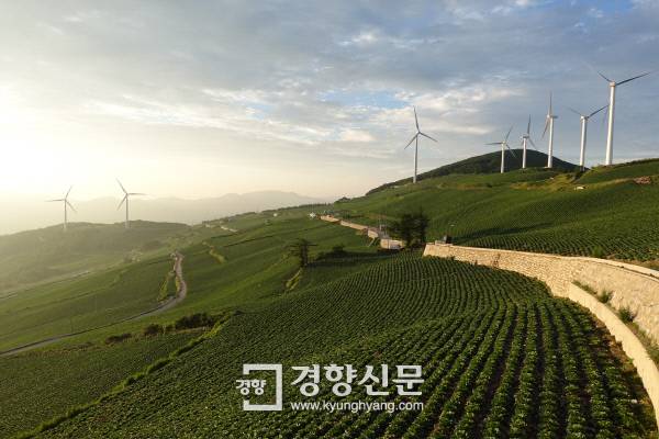강원도 태백시 매봉산 풍력발전단지의 모습. / 정유미 기자
