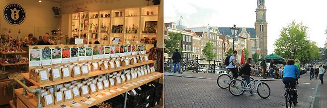 튤립 박물관 내부에서 판매하는 튤립 구근 / '자전거의 도시' 암스테르담