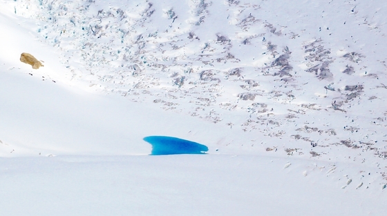 상공에서 바라본 빙하의 블루홀(blue hole).