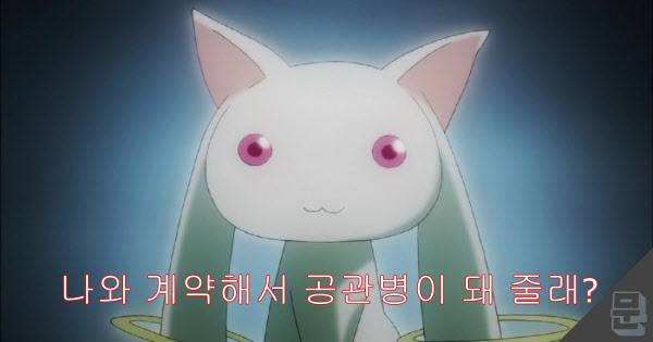 /편집=문현웅 기자