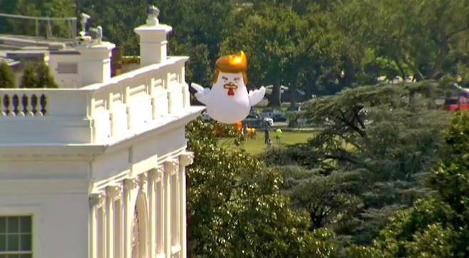 백악관 인근에 세워진 트럼프 모양 닭 풍선. /사진=트위터 캡처