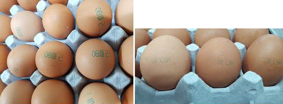 살충제 성분이 검출됀 마리농장에서 나온 계란('08마리' 표시)과 우리농장에서 나온 계란('08 LSH' 표시)/사진=식품의약품안전처 제공