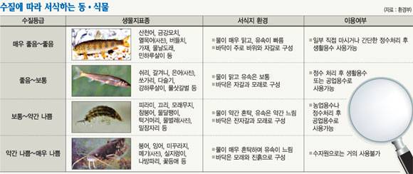 수질생물 보고 수질등급 매긴다