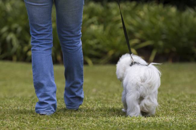[사진=게티이미지뱅크]