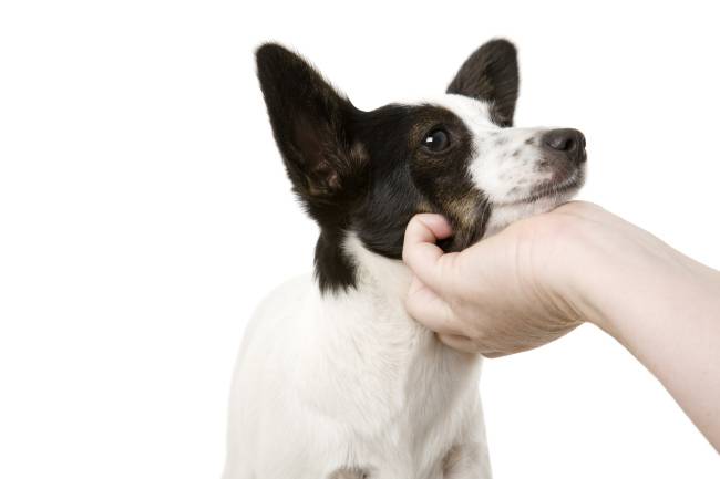 [사진=게티이미지뱅크]