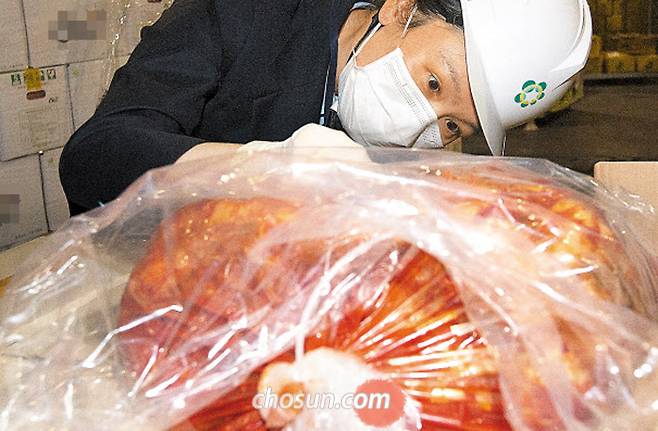 12일 오후 인천 남항 부두 인근의 한 냉장창고에서 경인지방식약청 소속 수입식품검사관이 중국산(産) 수입 김치의 위생 상태를 점검하고 있다. 이날 창고에는 중국산 김치 상자가 2400개(2만4500㎏) 쌓여 있었지만, 검사관들이 무작위로 골라 검사한 것은 다섯 상자(0.2%)에 불과했다. /고운호 기자