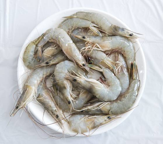 제철 대하는단맛이 더해져 풍미가 좋고 면역력을 높이는 효과도 있다,박종근 기자
