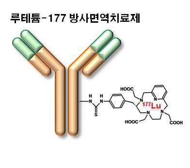 항암제 세툭시맙에 암세포를 파괴하는 방사성동위원소를 붙인 새 약품을 나타낸 그림. [과학기술정보통신부 제공]