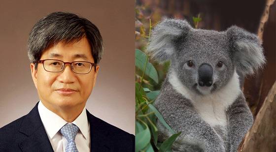 김명수 신임 대법원장은 대귀(大貴) 한 코알라 관상이다. [사진 백재권]