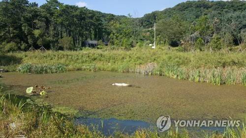 (군포=연합뉴스) 김인유 기자 = 경기 군포시 산본동 915번지 수리산도립공원 자락에 56만1천500㎡ 규모로 조성돼 지난해 7월 1일 개장한 '초막골 생태공원'의 모습. 2017.9.23 hedgehog@yna.co.kr