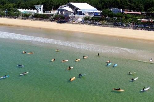 [연합뉴스 자료사진]